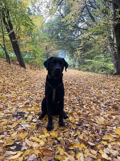 26. Farben Fotochallenge "Herbstfarben"-Beitrag-Bild