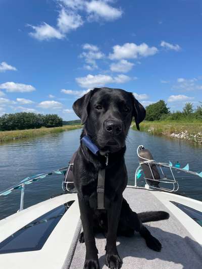 141. FOTO CHALLENGE 
Reisende soll man nicht aufhalten-Beitrag-Bild