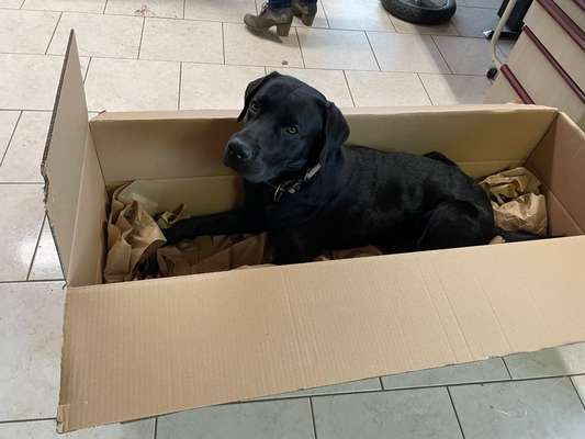 53. Collage Challenge - Verschiedene Blickwinkel-Beitrag-Bild