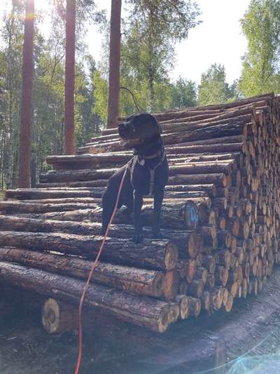 64. Handy Foto Challenge - Hoch hinaus-Beitrag-Bild