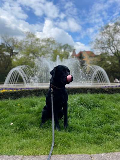 Zeigt eure schönsten Sommerbilder-Beitrag-Bild