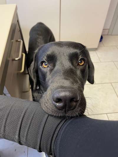 147. Foto Challenge: Bettelblick-Beitrag-Bild