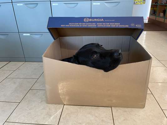 80. Foto  Challenge - Versteckt/ in einer Höhle-Beitrag-Bild