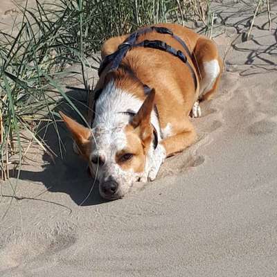 Karsten's Profilbild