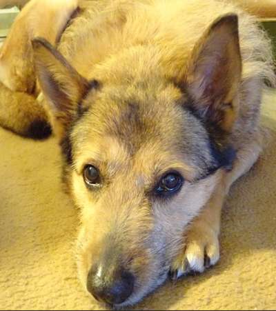 Außergewöhnliche Merkmale-Beitrag-Bild