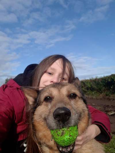 Hundetreffen-Gemeinsame Gassirunde rund um Breckerfeld-Bild