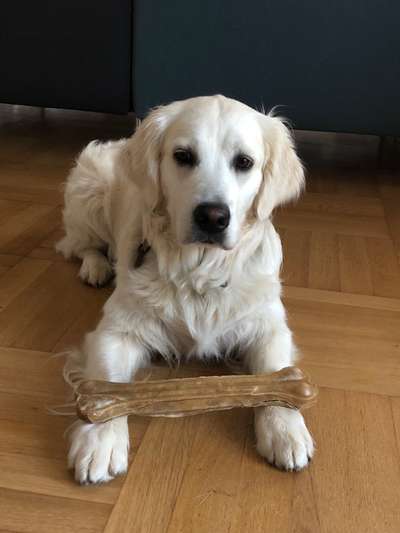 Lieblingsbild :D-Beitrag-Bild