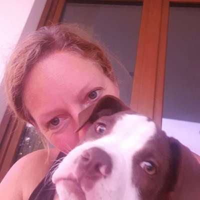 Hundetreffen-Gemeinsames spazieren gehen-Profilbild