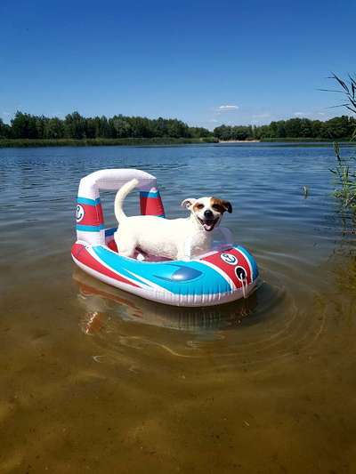 Dogorama-Monats-Challenge-Mai "Wasser"-Beitrag-Bild