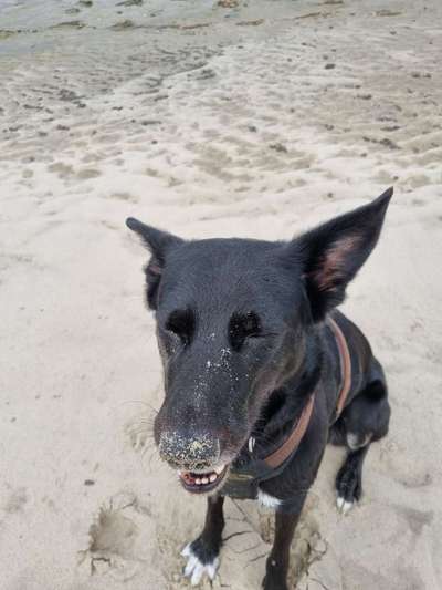 Fotochallenge Nr.105  Glücksmomente-Beitrag-Bild