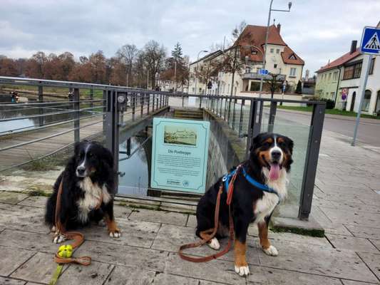 Leute aus Oberbayern?-Beitrag-Bild