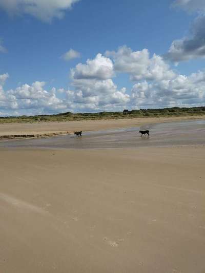 Foto Challenge - BEENDET - bitte aktuelle Challenge nutzen-Beitrag-Bild