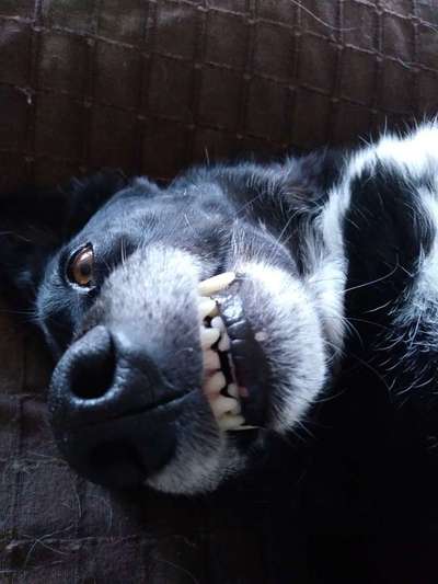 Handy-foto Challange nr. 11-Beitrag-Bild