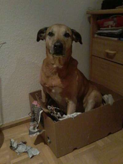 Fotochallenge No. 5-Beitrag-Bild