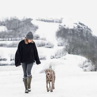 %{de_profession_title}-Einzelcoaching für Mensch-Hund-Teams-Bild