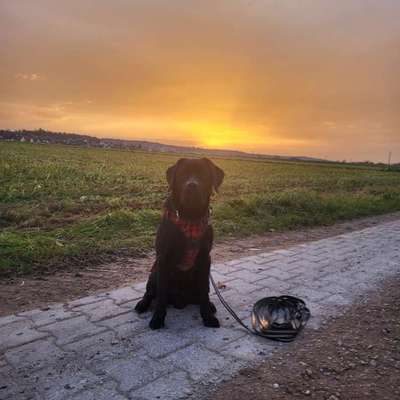 Was hat euch heute genervt?-Beitrag-Bild