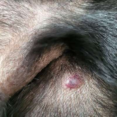 aktuelles Foto Gruppe Gesundheit und Pflege