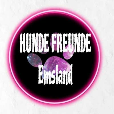 Titelbild Gruppe Hunde freunde Emsland