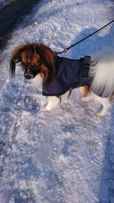 Challenge Nr. 15
Spiel im Schnee-Beitrag-Bild