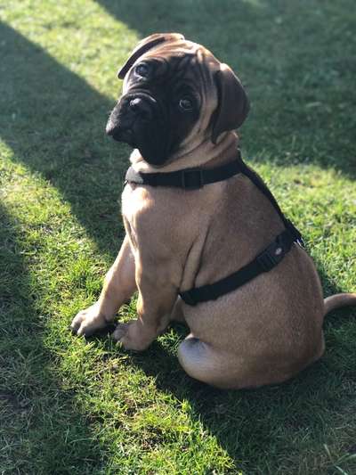 Sie werden so schnell erwachsen ...-Beitrag-Bild