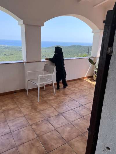 Berner Sennen-Beitrag-Bild