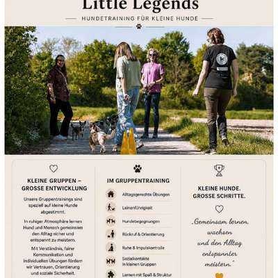 %{de_profession_title}-Angebote Flyer-Bild