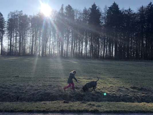 Hundeauslaufgebiet-Schmittenhöhe-Bild