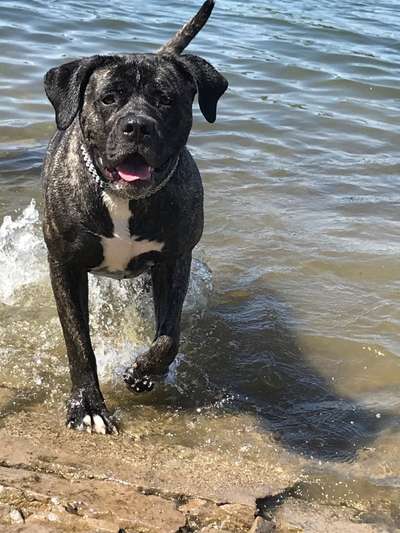 Schönen welt Frauen Tag !:)-Beitrag-Bild