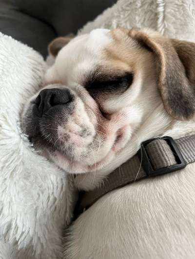 Das beste grinsefoto-Beitrag-Bild