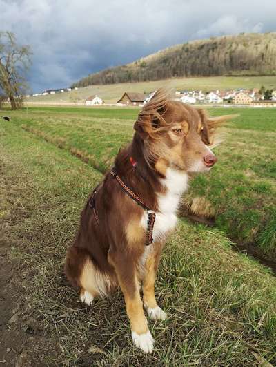 Fotochallenge Nr 50 Vom Winde verweht-Beitrag-Bild