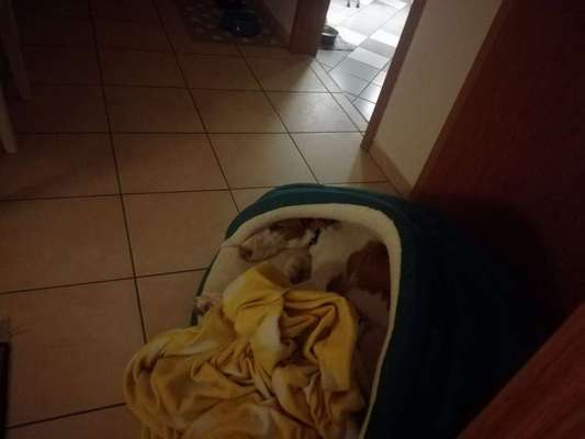 Lieblings Schnappschuss?-Beitrag-Bild