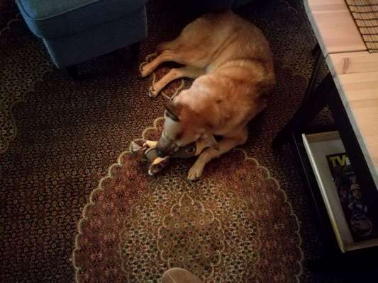 Lieblings Schnappschuss?-Beitrag-Bild