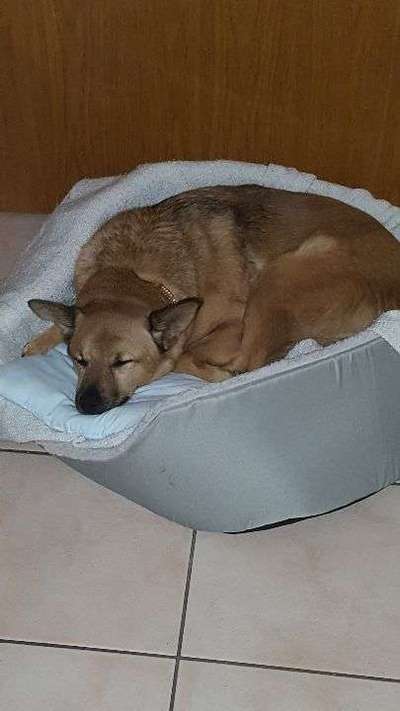 Schlafposition-Beitrag-Bild