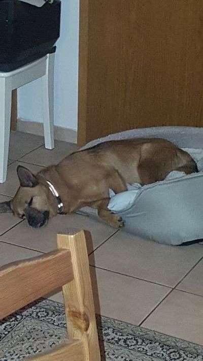 Schlafposition-Beitrag-Bild