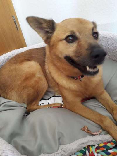 Das erste Foto-Beitrag-Bild