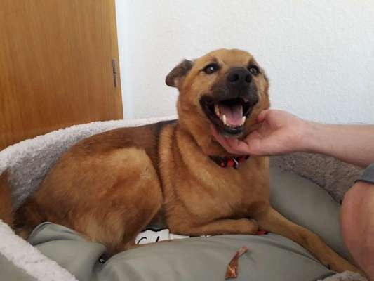 Das erste Foto-Beitrag-Bild