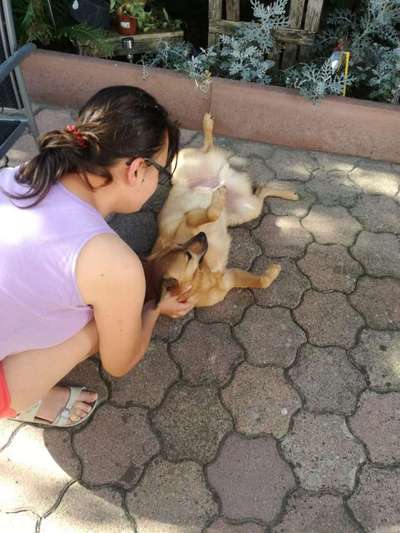 Das erste Foto-Beitrag-Bild