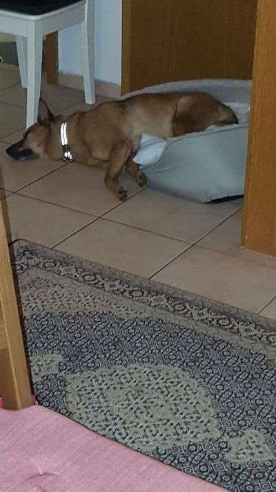 Schlafposition-Beitrag-Bild