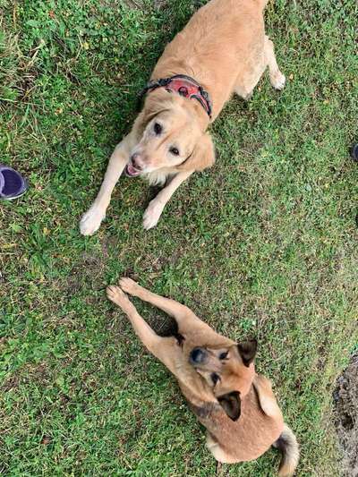 Lieblings Schnappschuss?-Beitrag-Bild