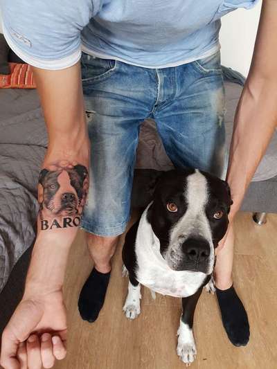 Erinnerungs Tattoos-Beitrag-Bild