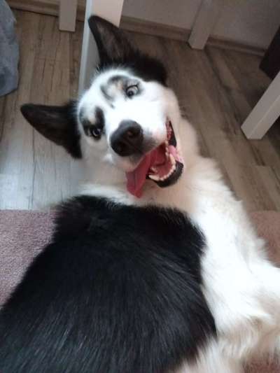 Handy-foto Challange nr. 11-Beitrag-Bild