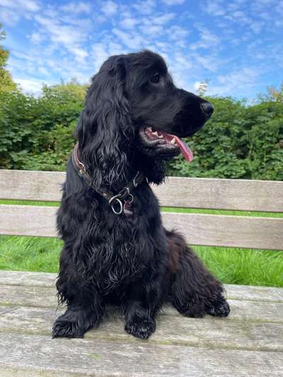 26. Farben Fotochallenge "Herbstfarben"-Beitrag-Bild