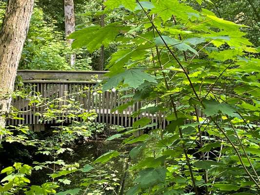 Die wunderschöne Welt mit Hund.-Beitrag-Bild