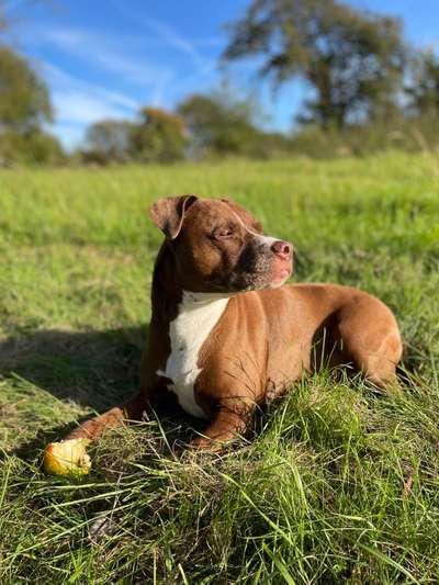 Fotochallenge Nr. 56 - geliebte Senioren-Beitrag-Bild