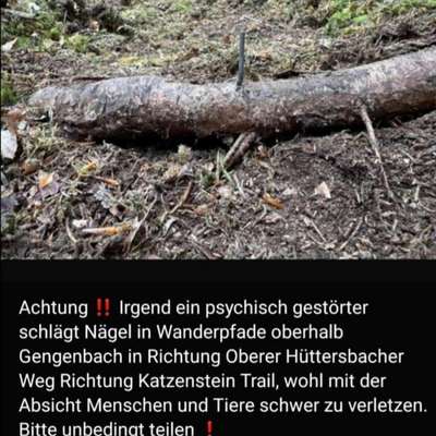 Giftköder-Nägel in Ästen auf den Wegen ausgelegt..-Bild