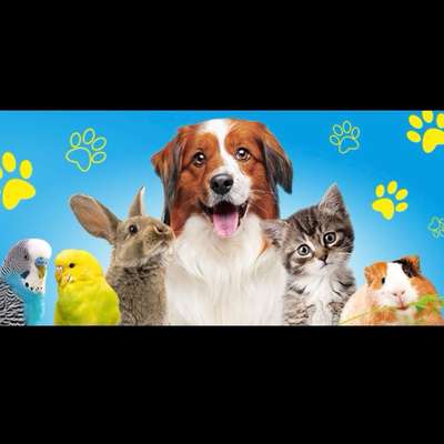 Hundeshops-Qualipet Limmatplatz-Bild