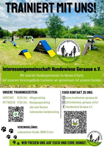 Hundetreffen-Gemeinsam Trainieren-Bild