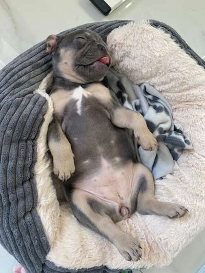 Erstes Bild-Beitrag-Bild