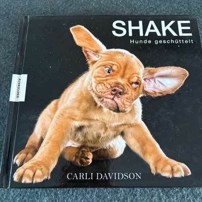 Bücher-Beitrag-Bild