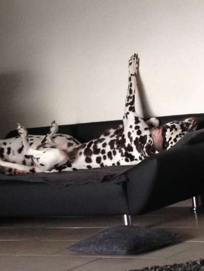 Foto Challange Nr.80-Beitrag-Bild